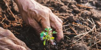 บทบาทของมหาวิทยาลัยขอนแก่นต่อการแก้ไขปัญหาความยากจนในภาคอีสาน
