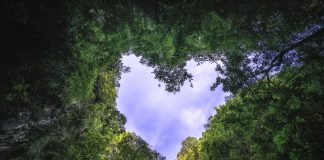 ปัจจัยทางเศรษฐกิจ สังคม ทรัพยากรธรรมชาติ และสิ่งแวดล้อม