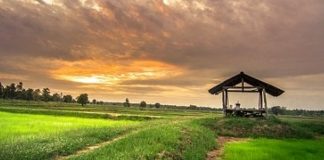 งานวิจัยเพื่อท้องถิ่น