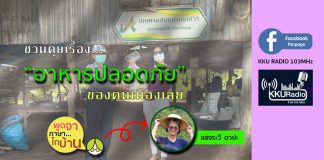 ชวนคุย… “อาหารปลอดภัยของคนเมืองเลย”