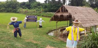 ห่วงโซ่คุณค่ากับการเชื่อมโยงการวางแผนพลังงานทางเลือกและเศรษฐกิจฐานราก