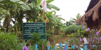 การเกษตรเชิงฟื้นฟู (Regenerative Agriculture)