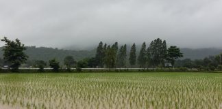 การท่องเที่ยวเชิงวัฒนธรรมในชนบท