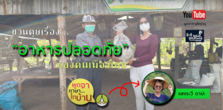 อาหารปลอดภัยของคนเมืองเลย