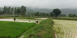 การจัดการท่องเที่ยวชุมชนอย่างยั่งยืนเพื่อบรรเทาความยากจน