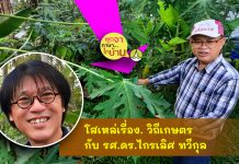 โสเหล่เรื่องเกษตรกับอาจารย์ไกรเลิศ
