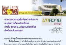 RSDI News ปีที่ 9 ฉ.3 ก.ค.-ก.ย.68